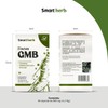 Smart Herb Paquete Focus GMB, Suplemento Alimenticio, 2 piezas (30
