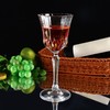 YANGNAY 12 Pack Multifunctional Wine Glasses, 7 oz Elegant Wine