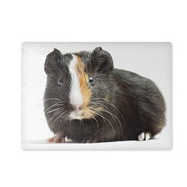 Chopping Board / Glass Chopping Board 20 x 28 x 0.4 cm Guinea Pig Design Black/White/Brown | 02