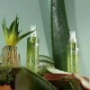 SS [에스에스_62]피부 부드럽게 페이스 피부 미스트 150ml 2개 [SS_62] Soft Skin Face Mist 150ml x 2