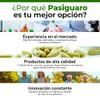 CLOROFILA FRESCA PREMIUM - Suplemento alimenticio con Clorofila.2 frascos con