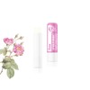 Beauty4Britain Set of 12 Luxury Lip Balms Bouquet 12 Different