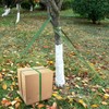 Biubee 2 Rolls 108 Feet Green Tree Tie Strap 1
