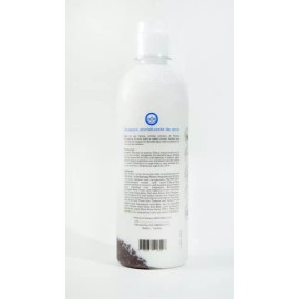 OLÉ Shampoo Rice & Linseed | Shampoo Arroz & Linaza | for Stronger, Thicker and