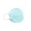 Cranberry USA Cranberry S3090Bcase S3 Mint Earloop Face Mask, Blue