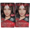 Revlon - Colorsilk - 41 Medium Brown - Pack of