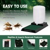 Giangarden 500ml Cricket Reptiles Water Feeder Reservoir Keeper, 2-in-1 Automatic