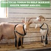 Kajaia Goat Apron Anti Breeding Sheep Skirt Control Buck Anti