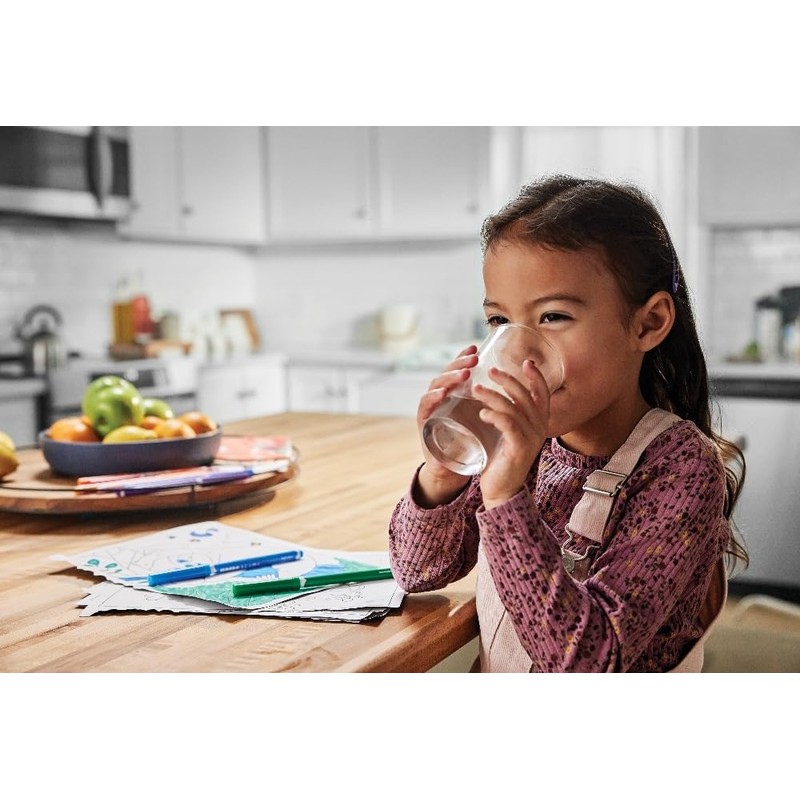 Frigidaire WF2CB PureSource 2® Water Filter