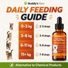 Worm Wood Natural Gut Support for Cats | Herbal Blend
