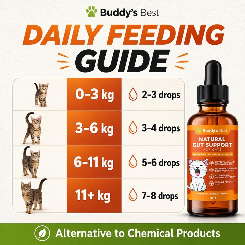 Worm Wood Natural Gut Support for Cats | Herbal Blend