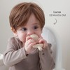 SAMiGO Baby Food Fruit Feeder and Breastmilk Popsicle Mold Set,