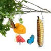 4Pcs Butterfly Feeders for Outdoors, Outside Bird Fruit Holder, Hangable