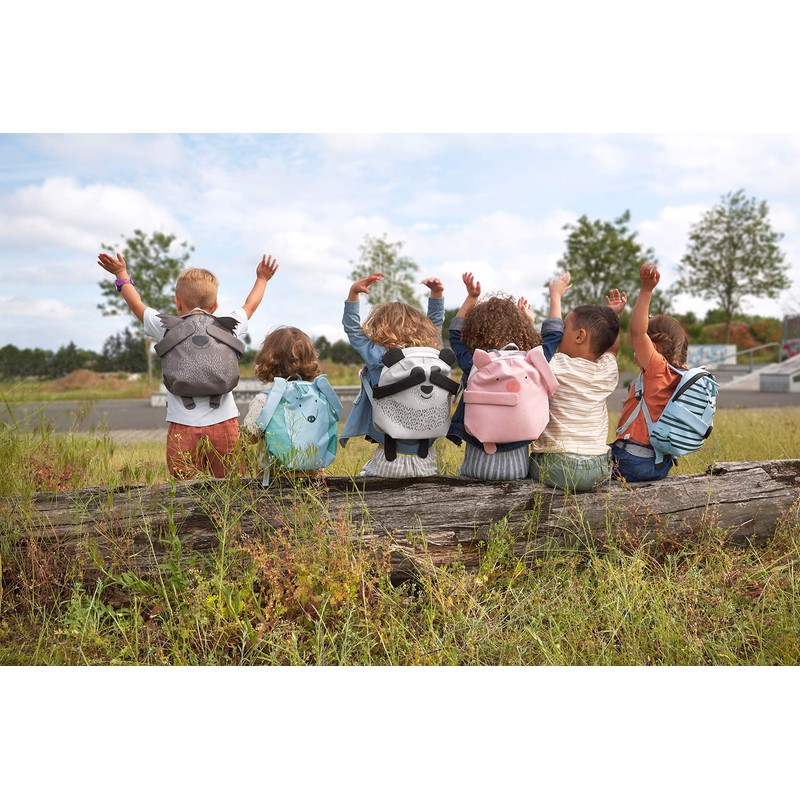LÄSSIG Children's Kindergarten Rucksack with Chest Strap, for Ages 3+,