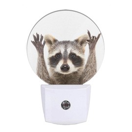 EKOBLA Raccoon Night Light Cute Animal Raccoon with Cool Rock N Roll Pose Night Lights Plug into Wall Auto Sensor Fun Funny LED Round Lamp for Men Women Boys Girls