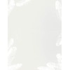 Cosco Soft Feathers Letterhead