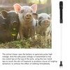 Electric Pig Prod Rechargeable Waterproof 9KV Electric Livestock Prod for