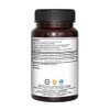 PURENUTRITION ME Pure Nutrition Papaya Complete - 500mg | 60