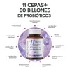 Probioticos 11 Cepas De 60 Billones Megabiotic 60 Capsulas