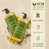 Majestic Pure Arnica Aceite de masaje para hombres y mujeres,