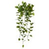 Natural Touch Pothos Artificial Plant - 48"
