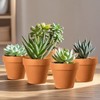 Realure Pack of 20 Clay Pots for Succulents, Small Flower