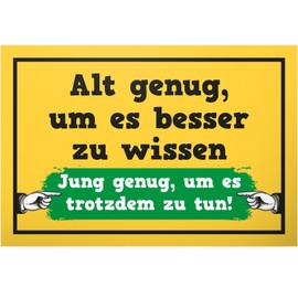 DankeDir! Alt genug um es besser zu wissen - Sign 30 x 20 cm - Gift Idea Birthday Party Decoration Birthday Decoration - Gift Birthday Gift Men & Women Birthday