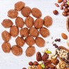 Healifty 20 X Mini Walnut Model Realistic Walnut Design Light