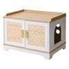 Boho Cat Litter Box Enclosure, Hidden Cats Washroom with Woven