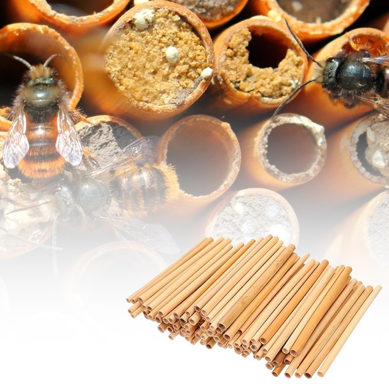 100Pcs Natural Mason Bee Tubes Eco-Friendly Beekeeper Nesting Refill Tubes