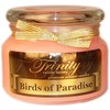 Trinity Candle Factory - Birds of Paradise - Traditional - Soy Jar Candle - 12 oz