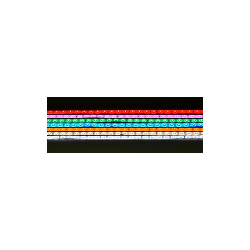 Lyyt | Professional 12V LED Strip | 5m Reel |