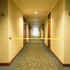PATIKIL Fixed Wall Mount Retractable Belt Barrier, 16.4 Ft Crowd