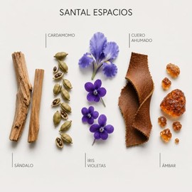 Aromatizante para Hogar y Oficina 125ml | Duo Santal Espacios y Palacio Espacios 125ml | Sala - Recámara - Telas - Auto | CASA TAVINHO