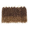 GoGo Curl Crochet hair 18inch Water Wave Crochet hair Ombre
