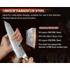 XINZUO Damascus 8.3 Inch Kiritsuke Chef Knife,Hand Forged High Carbon