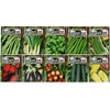 Set of 20 of Our Favorite Premium Variety 2020 Vegetable