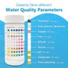 9-Way Pool Test Strips,Strips for Hot tub and Spa, Accurate