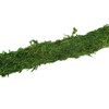 Natural Moss Pole Bendable Moss Plant Rod Plant Climbing Gardening