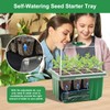 Seed Starter Tray with Grow Light, 5 Packs Plant Starter