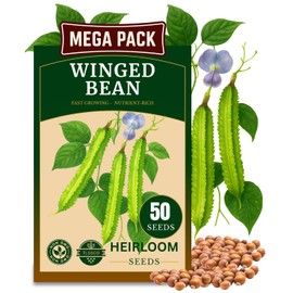 50+ USA Premium Winged Bean Seeds for Planting, Non-GMO Seeds – High-Yield, Nutritious, Tropical Climbing – Non-GMO, Heirloom Vegetable Dragon Four-Angled Bean