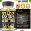 Sea Moss, Black Seed Oil, Ashwagandha, Ginger, Shilajit Gummies with