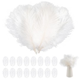 20 pcs Ostrich Feathers, Natural Feathers Plume, 8-10 Inch Craft Feathers, White Ostrich Feathers Large for Wedding Party Home Table Decoration DIY Crafts