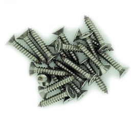No.4 x 0.25 (2.9mm x 6.5mm) TX Countersunk Self-Tapping Screw - Stainless Steel (A2) (Pack of 20)