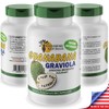 Sunshine Naturals Graviola Supplement. Immune Support, Digestive Aid, Antioxidant Defense,