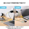 Elecom MPA-AC104100BK Charger, 100 W, 3 Ports, USB-C x 2,