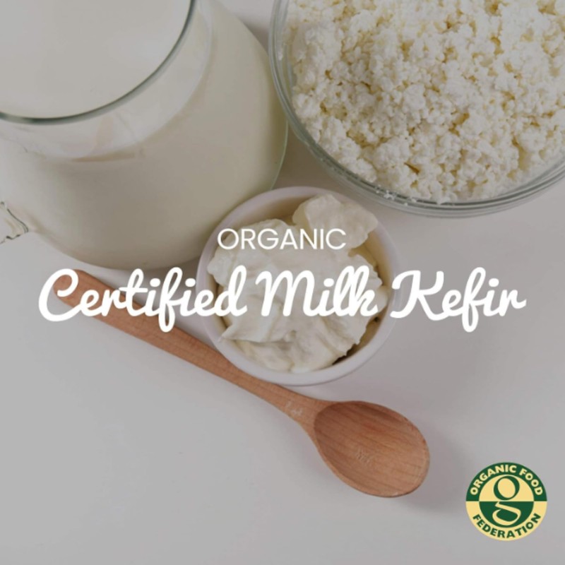 Freshly Fermented - Certified Organic Milk Kefir Grains (10g)