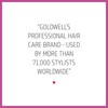 Goldwell Dualsenses Color Brilliance Conditioner 300ml