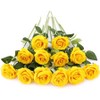 Laelfe 12 PCS Artificial Flowers Roses Silk Flowers Fake Long