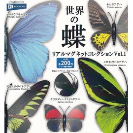 World Butterflies Realistic Magnet Collection Vol.1 [Total 5 Types Set (Full Comp)] Gacha Gacha Capsule Toy